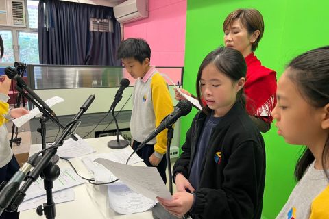 WhatsApp-图像2024-03-11于11.43.09_9bd2a31d