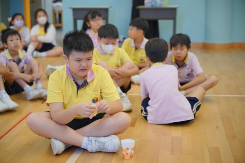 WhatsApp-图像2024-07-16于14.29.04_7d793562