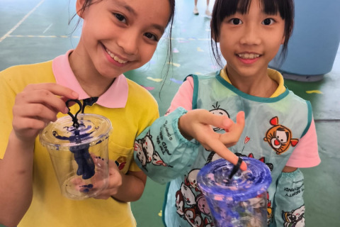 WhatsApp-图像2024-06-26于09.44.22_7efe2bc1